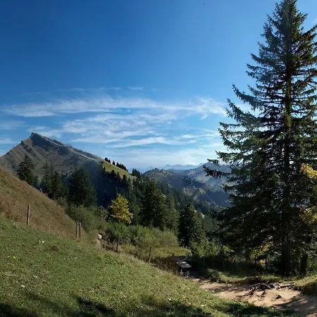 Kur- Und Ferienhotel Alpenhof Hotel